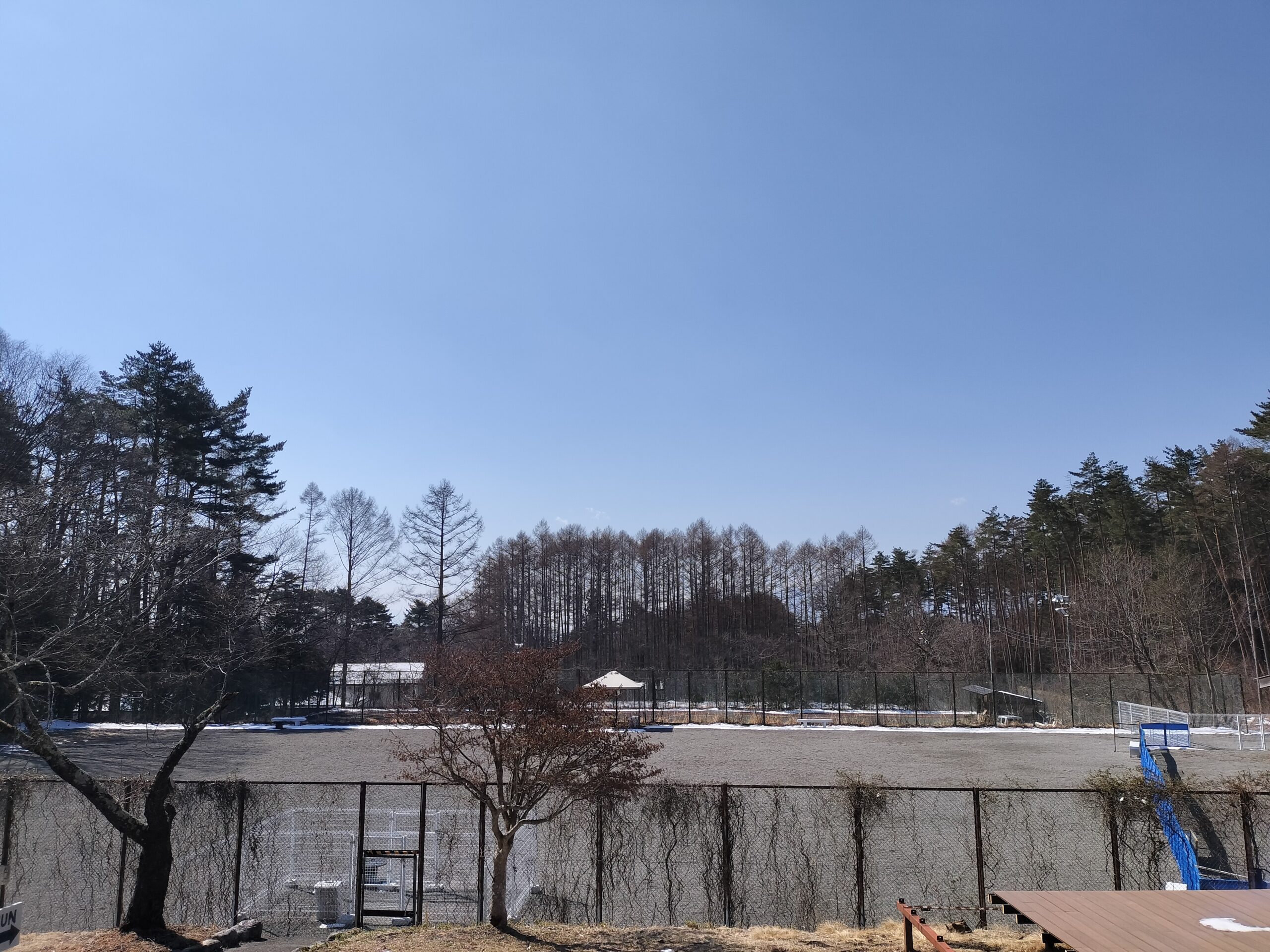 お部屋からの景色